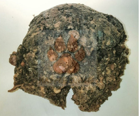 Bulk Ground Raw Beef Green Tripe (Pickup Only)