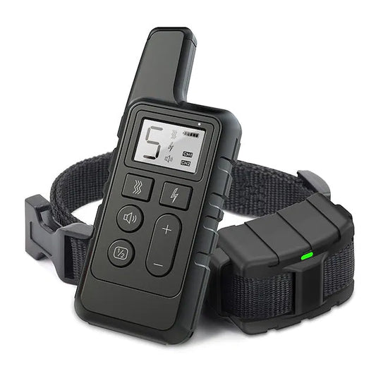 Dog Training Shock Collar