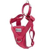 RC Pets - Tempo No Pull Harness Pink / Heather Azalea