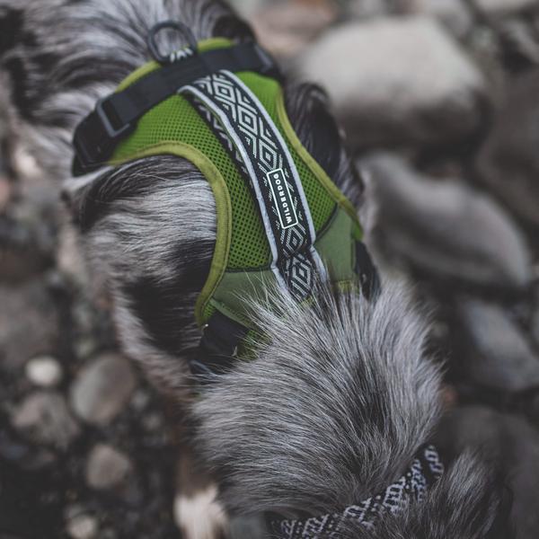 Wilderdog Harness