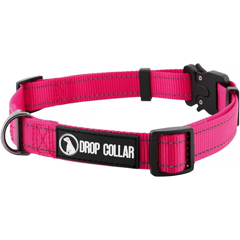 Drop Collar Reflective Nylon Dog Collar with Patent Pending Upright Leash Connection Point