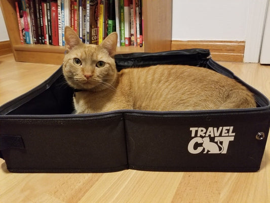 "The Porta-Pawty" Travel Cat Portable litter Box