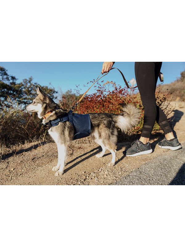 Sleepypod Power Leash