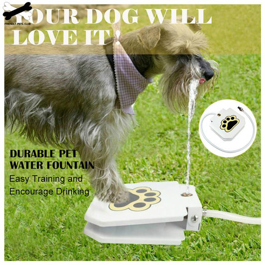 Automatic Outdoor Dog Water Fountain