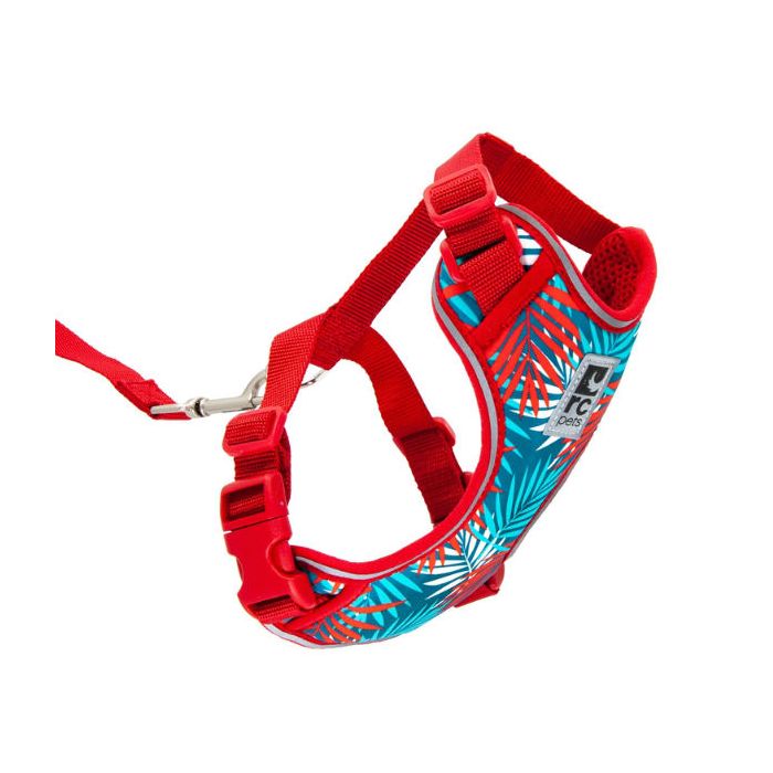 RC Pets - Adventure Kitty Harness w/ Lead Maldives