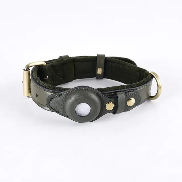 Leather Anti-Lost Dog Collar Green S