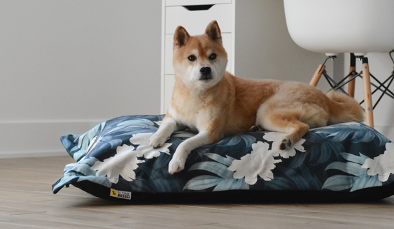 Be One Breed- Cloud Pillow Bed Peony Print