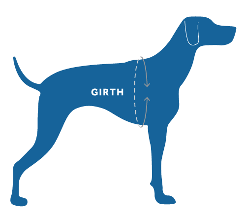 RC Pets Momentum Control Harness for Dogs in Sapphire